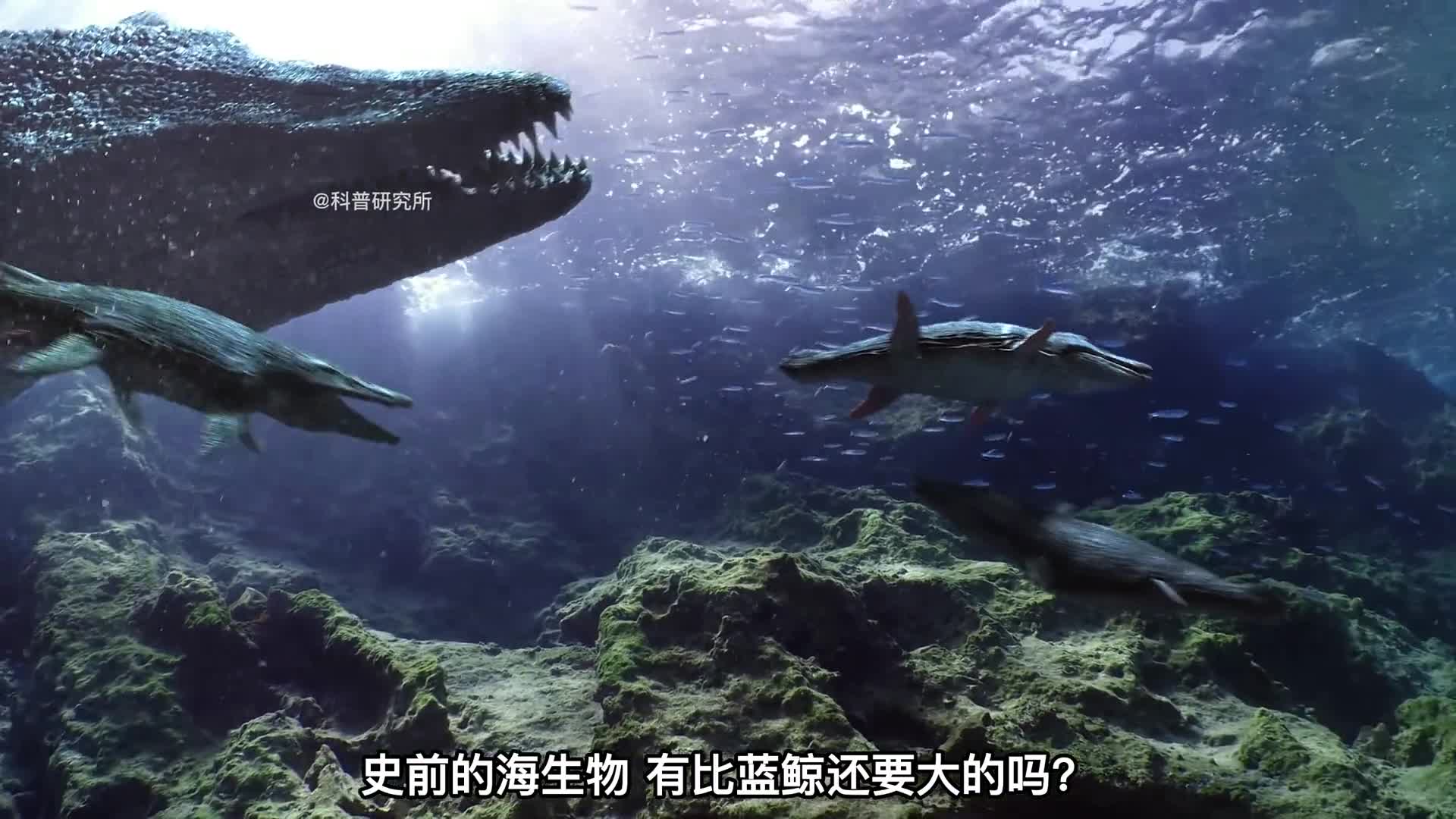 有巨物恐惧症的别看史前海洋生物体型大对比最后的太巨大了二
