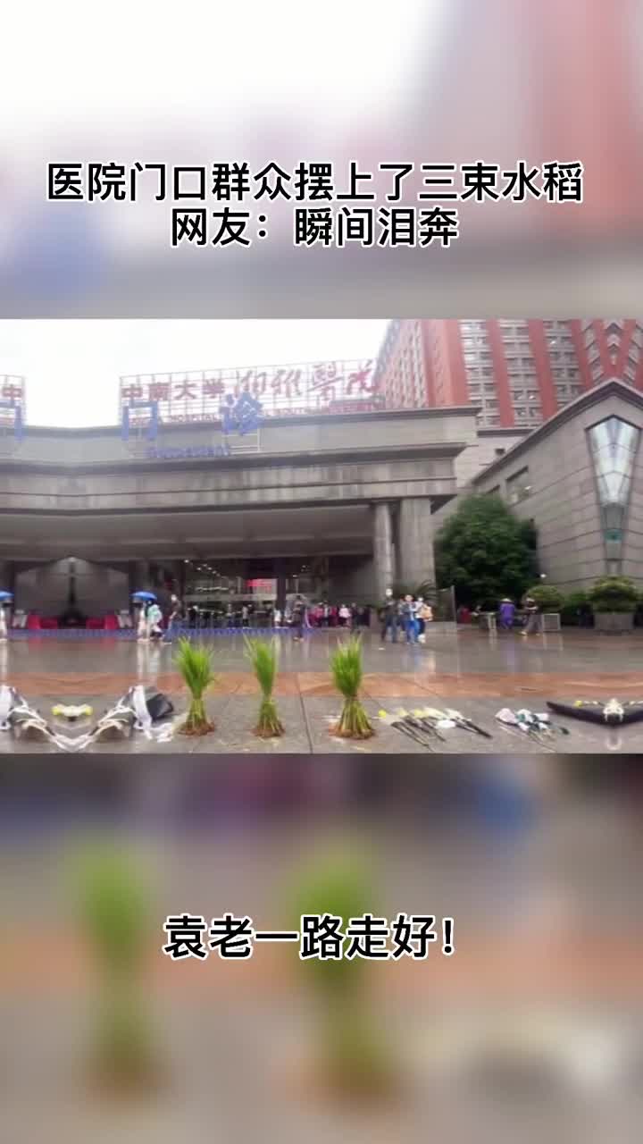有人在医院门口送了三束水稻这是他留给人民的馈赠也是人民为他饯行的礼物