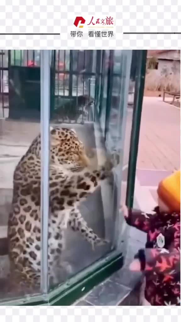 果然只有小宝宝才能跟小动物交流