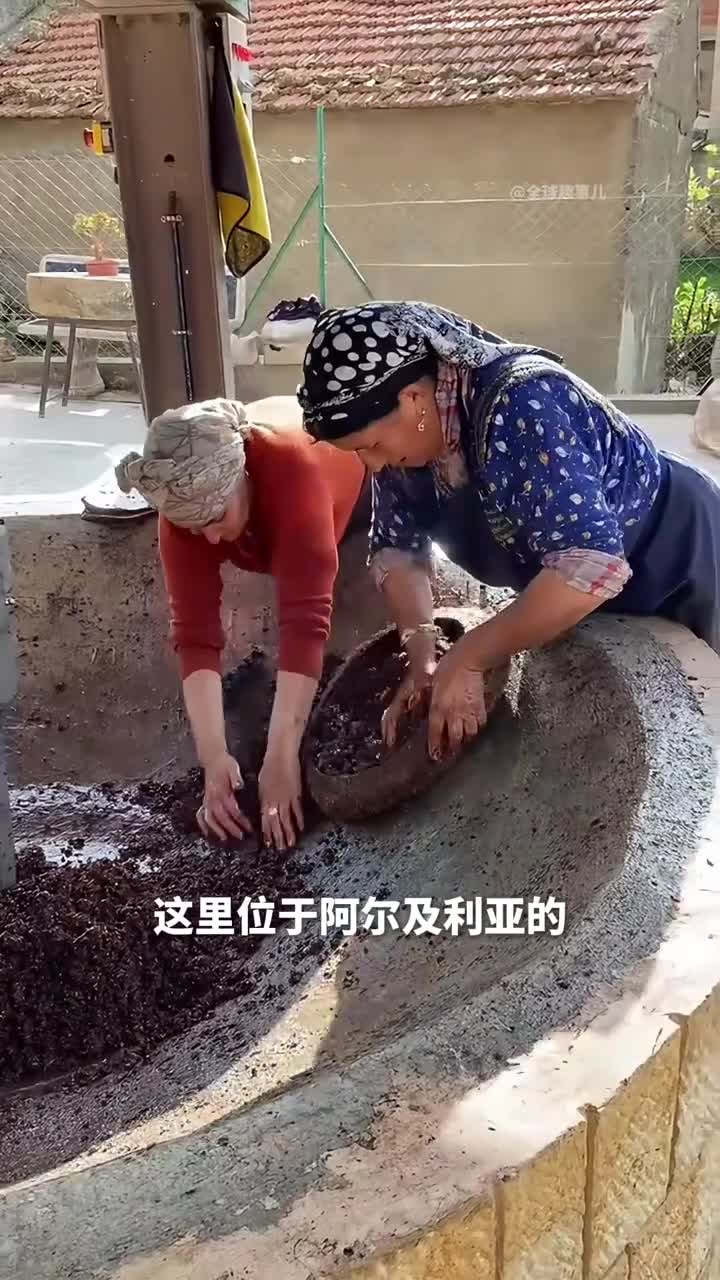 压榨橄榄油从泥到油的华丽转身