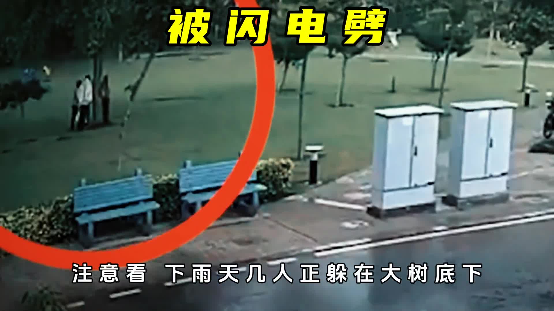 救命冷知识为什么雷雨天躲车里才最安全