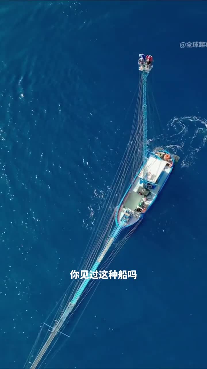 奇特的捕鱼船捕剑鱼的过程究竟有多刺激