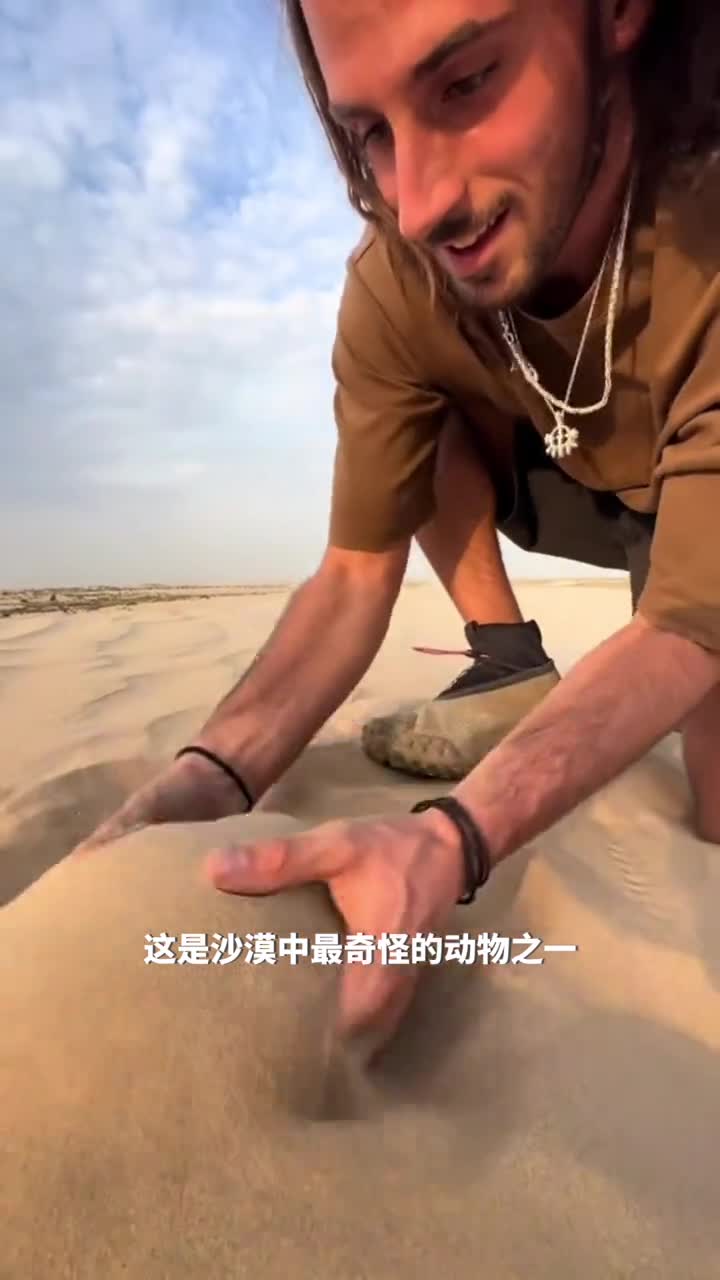 谁说鱼只能在水中游沙漠中的游泳健将砂鱼蜥