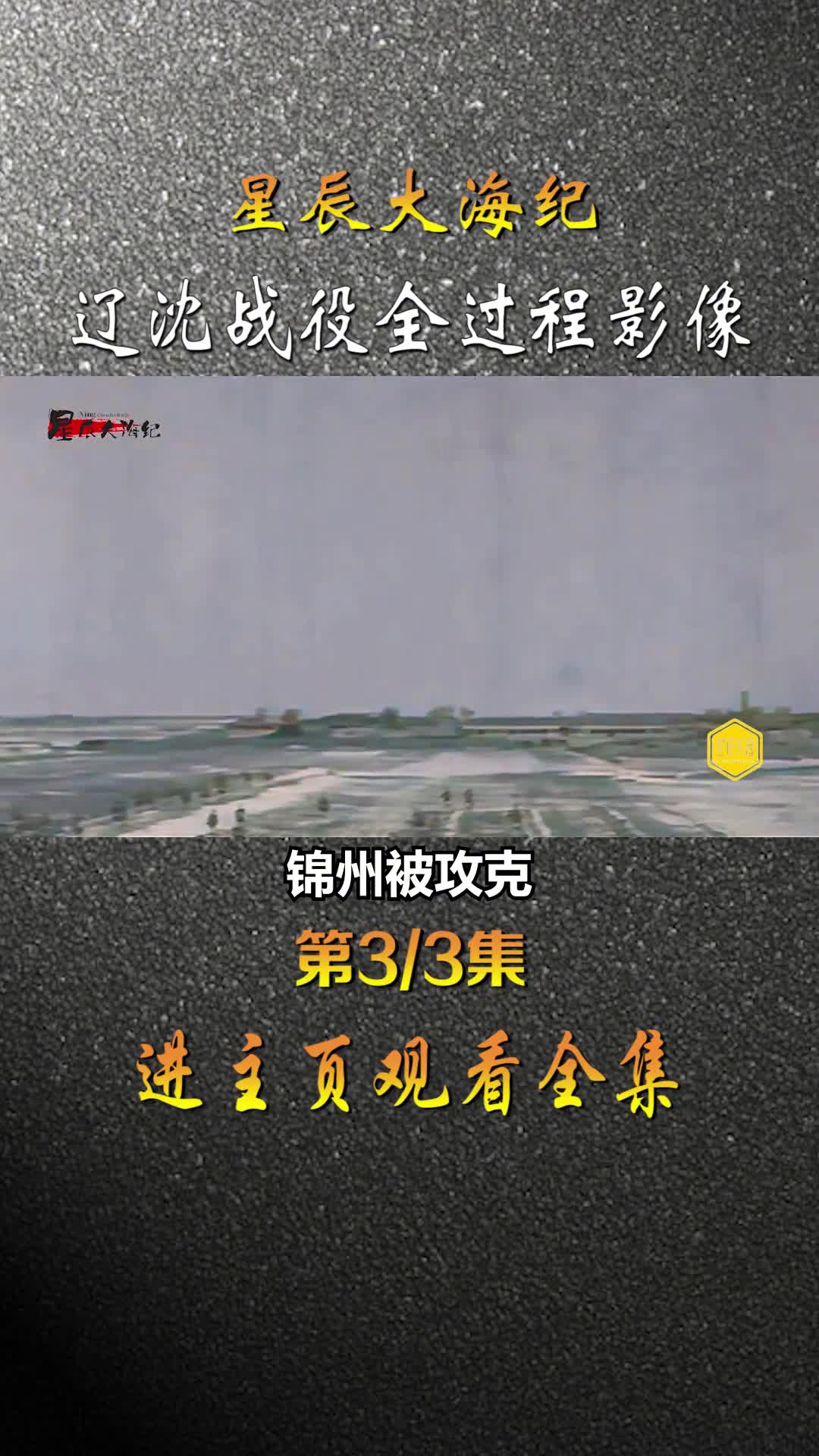 1948年辽沈战役全过程录像国民党一众将领被俘虏