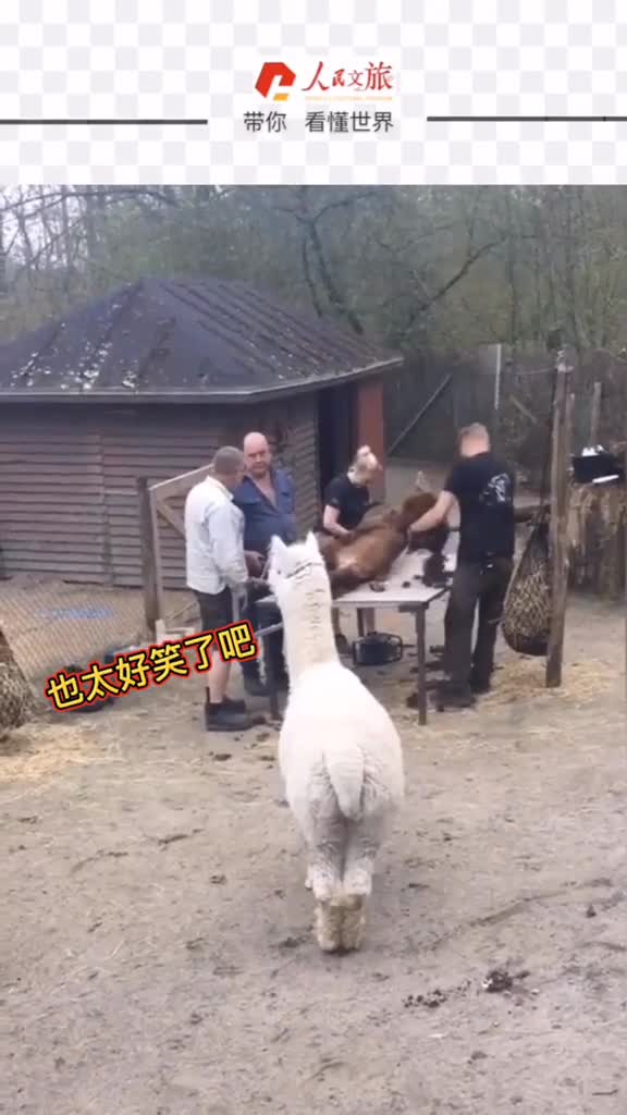 事实证明没事千万