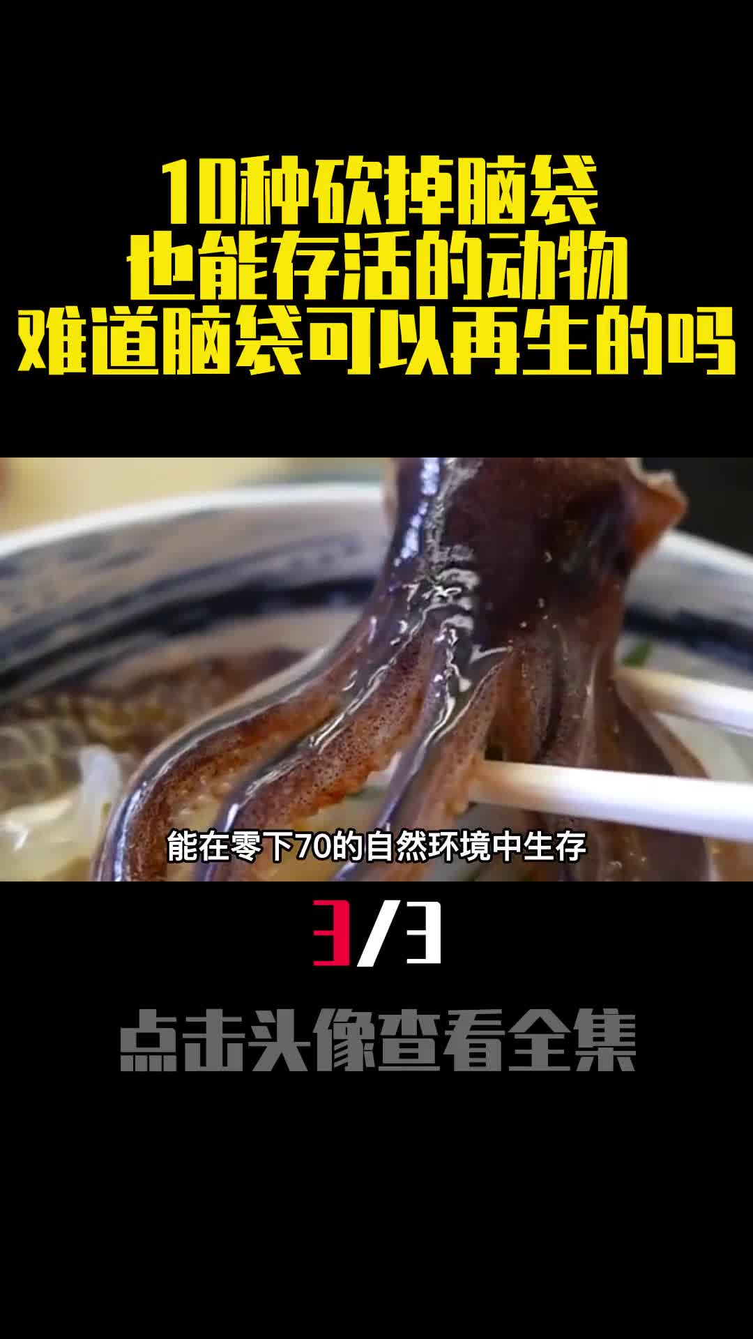 10种砍掉脑袋也能存活的动物难道脑袋可以再生的吗3