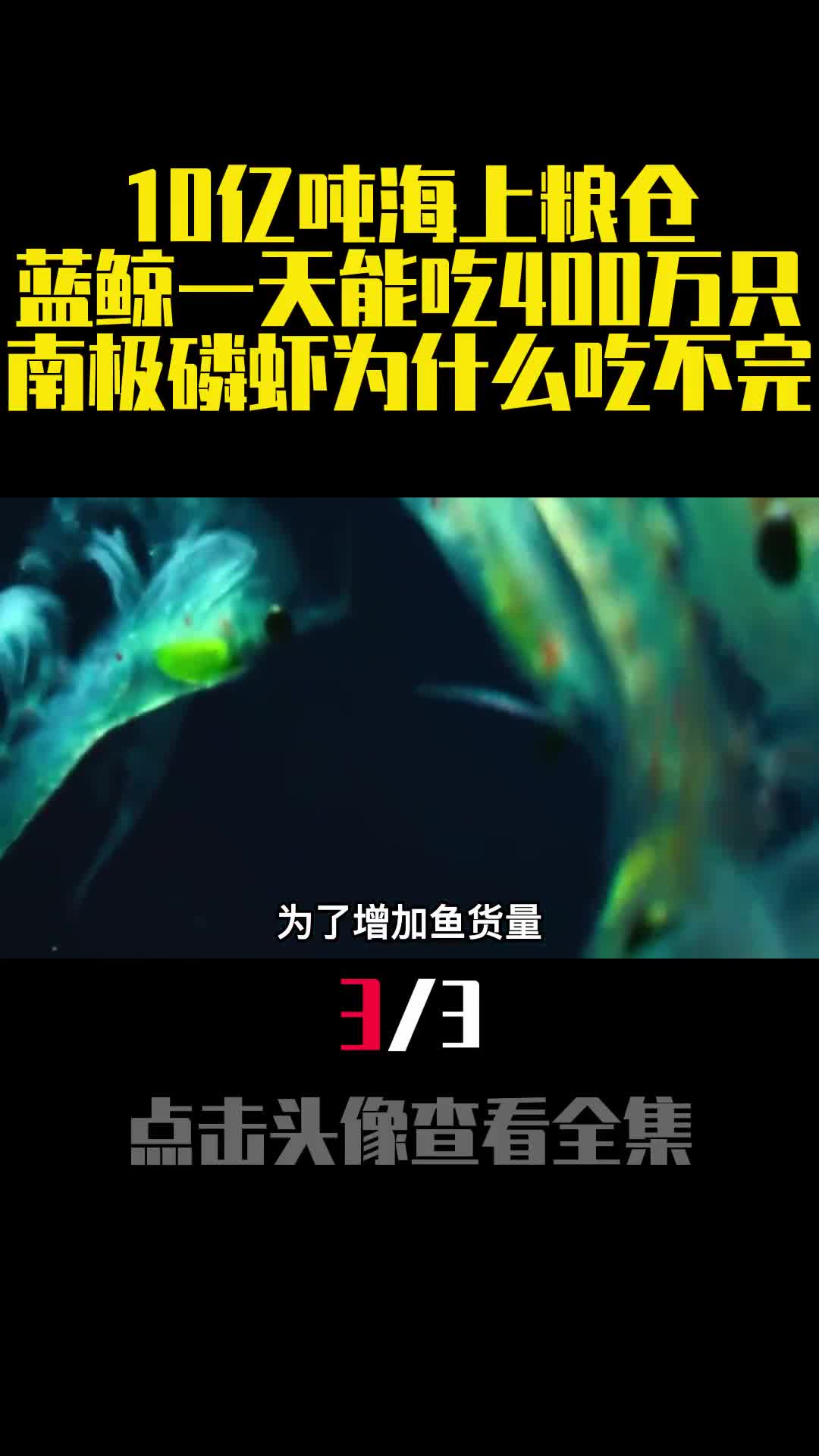 10亿吨海上粮仓蓝鲸一天能吃400万只南极磷虾为什么吃不完3