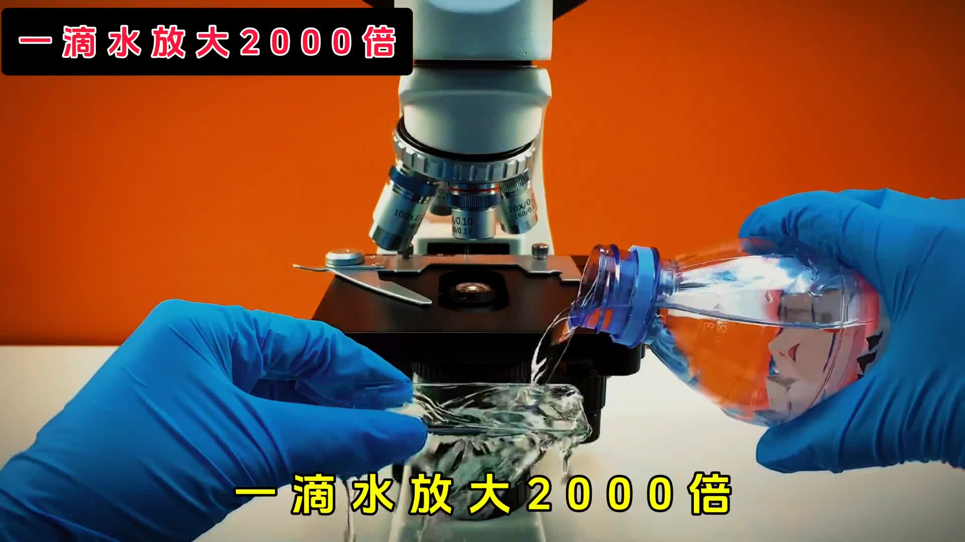 将一滴纯净水放大2000倍会看到微生物吗