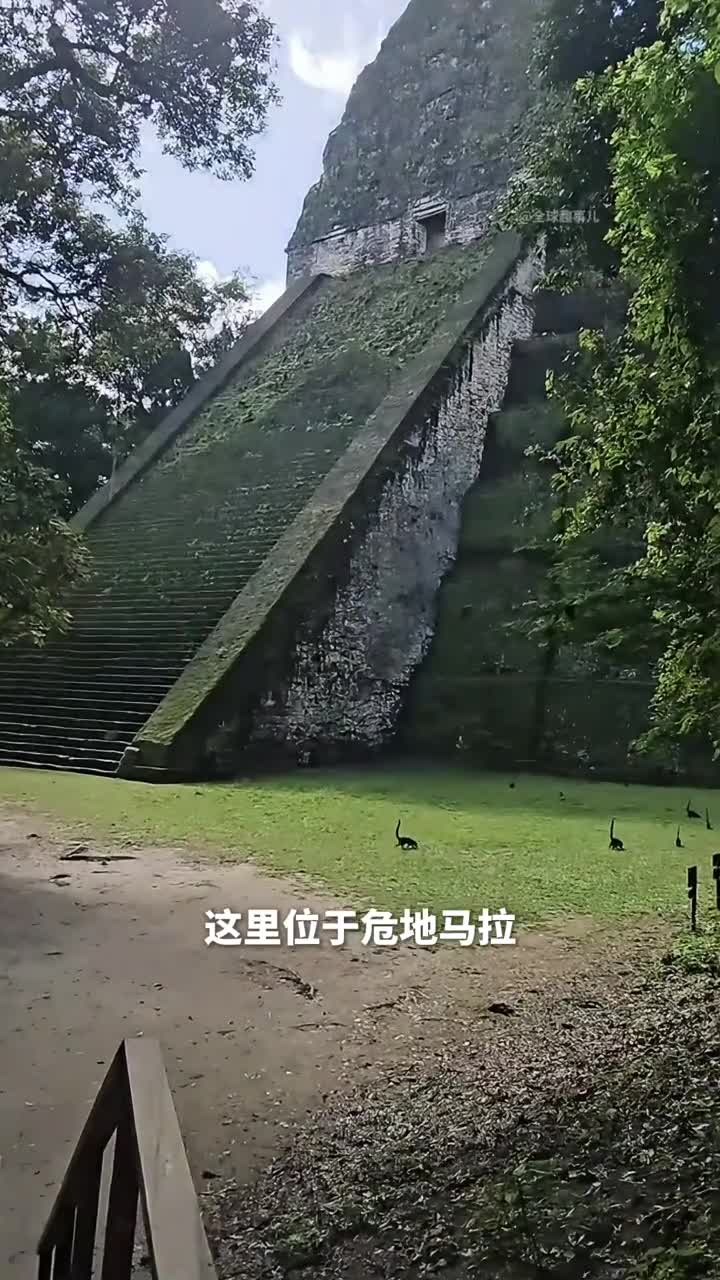 危地马拉惊现恐龙幼崽这群像恐龙的动物其实是长鼻浣熊