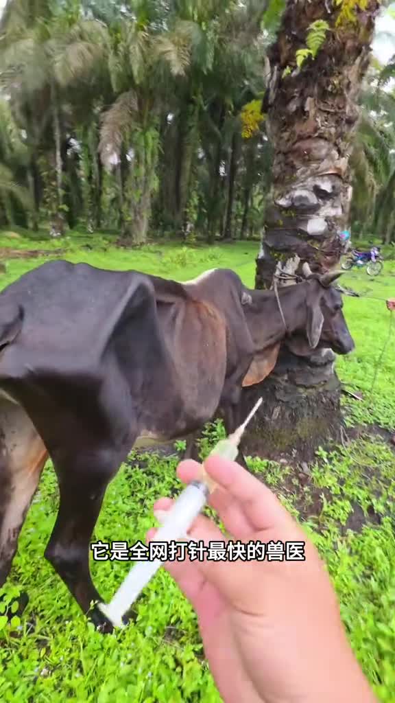 打针最快的人还没反应过来就完事了