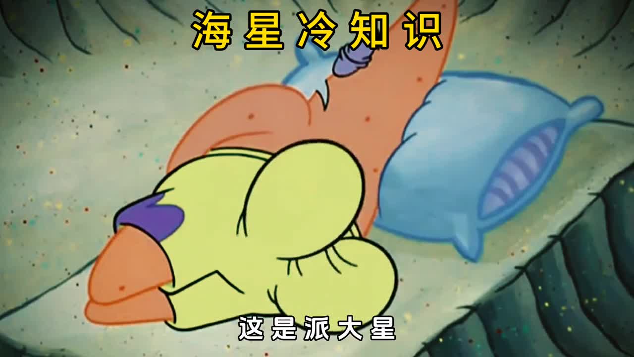 你敢相信海星竟然没有大脑和心脏