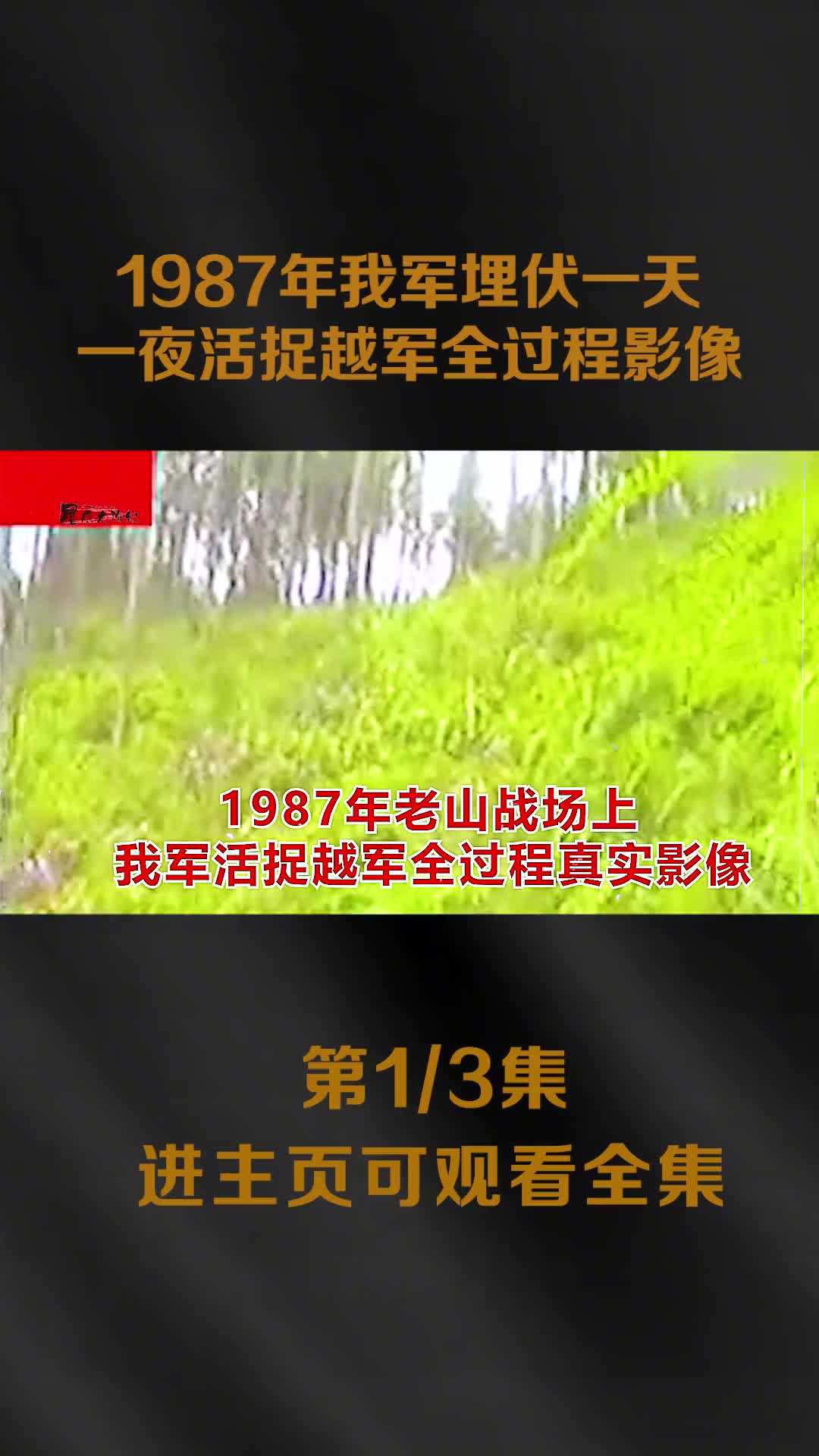 1987我军活捉越军全过程纪实我军埋伏一天一夜越军吓惨大声喊叫