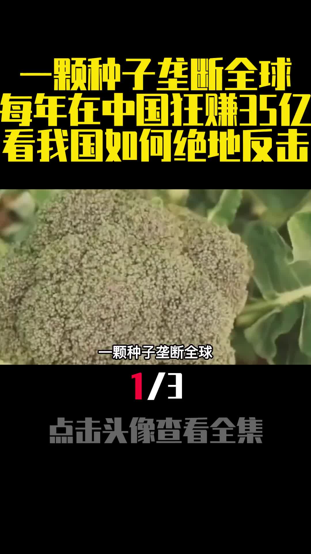 一颗种子垄断全球每年在中国狂赚35亿看我国如何绝地反击1