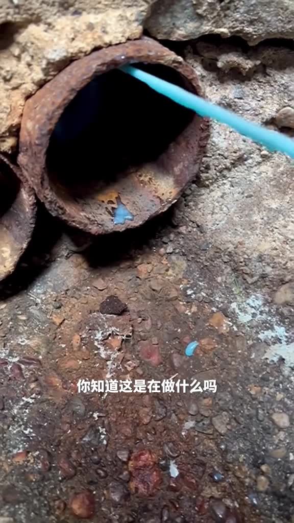 超有趣的管道修复难道这就是大肠包小肠