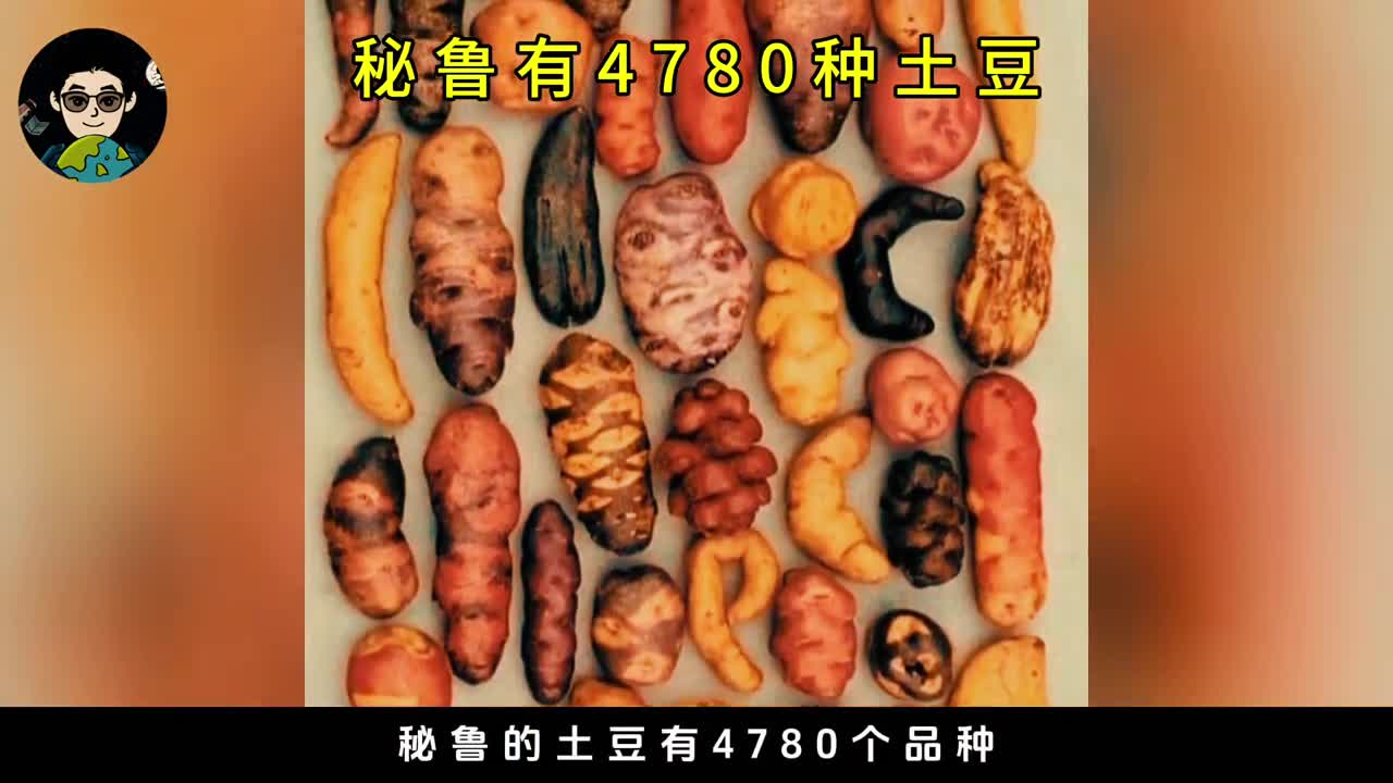 看过秘鲁4780种土豆才知道世界真奇妙