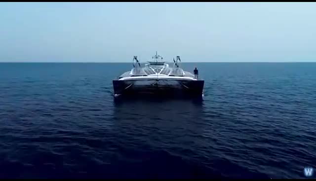 这绝对是真正的