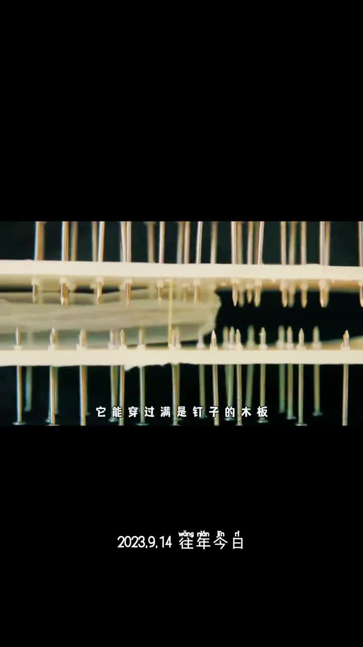 软体机器人究竟有多牛