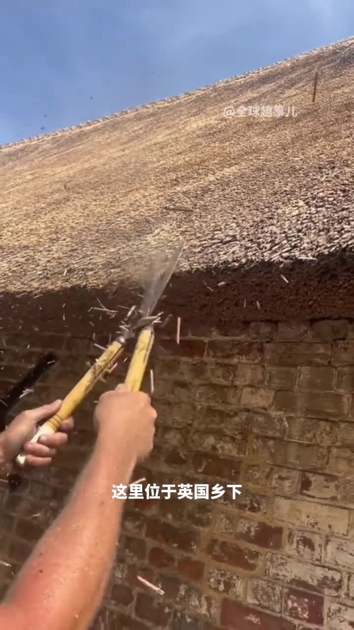 遮风挡雨的茅草屋顶茅草屋顶背后的不为人知的故事