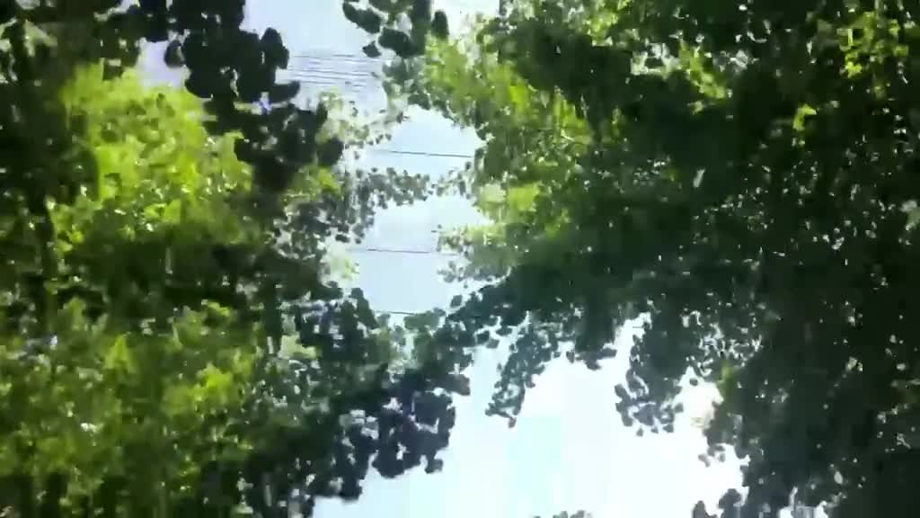 我们更多时候习惯了依赖身边的人但很多事情无人替代只有自己能给自己最大的安全感