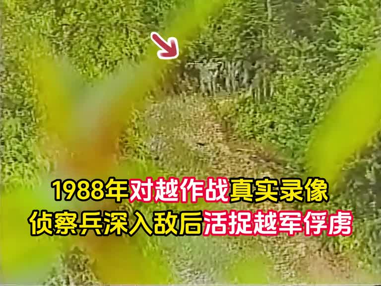 1988年对越作战真实录像侦察兵深入敌后潜伏一战俘虏四名敌军