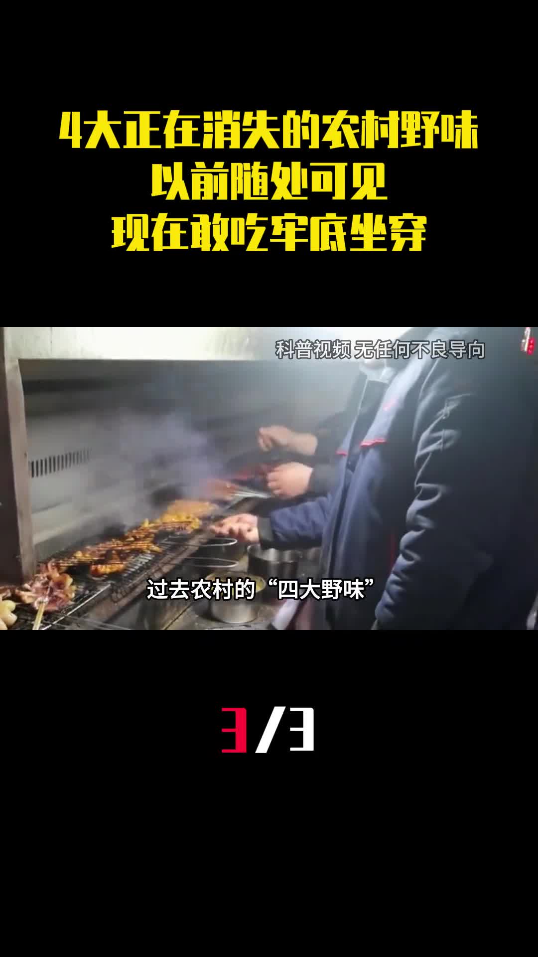 4大正在消失的农村野味以前随处可见现在敢吃牢底坐穿3