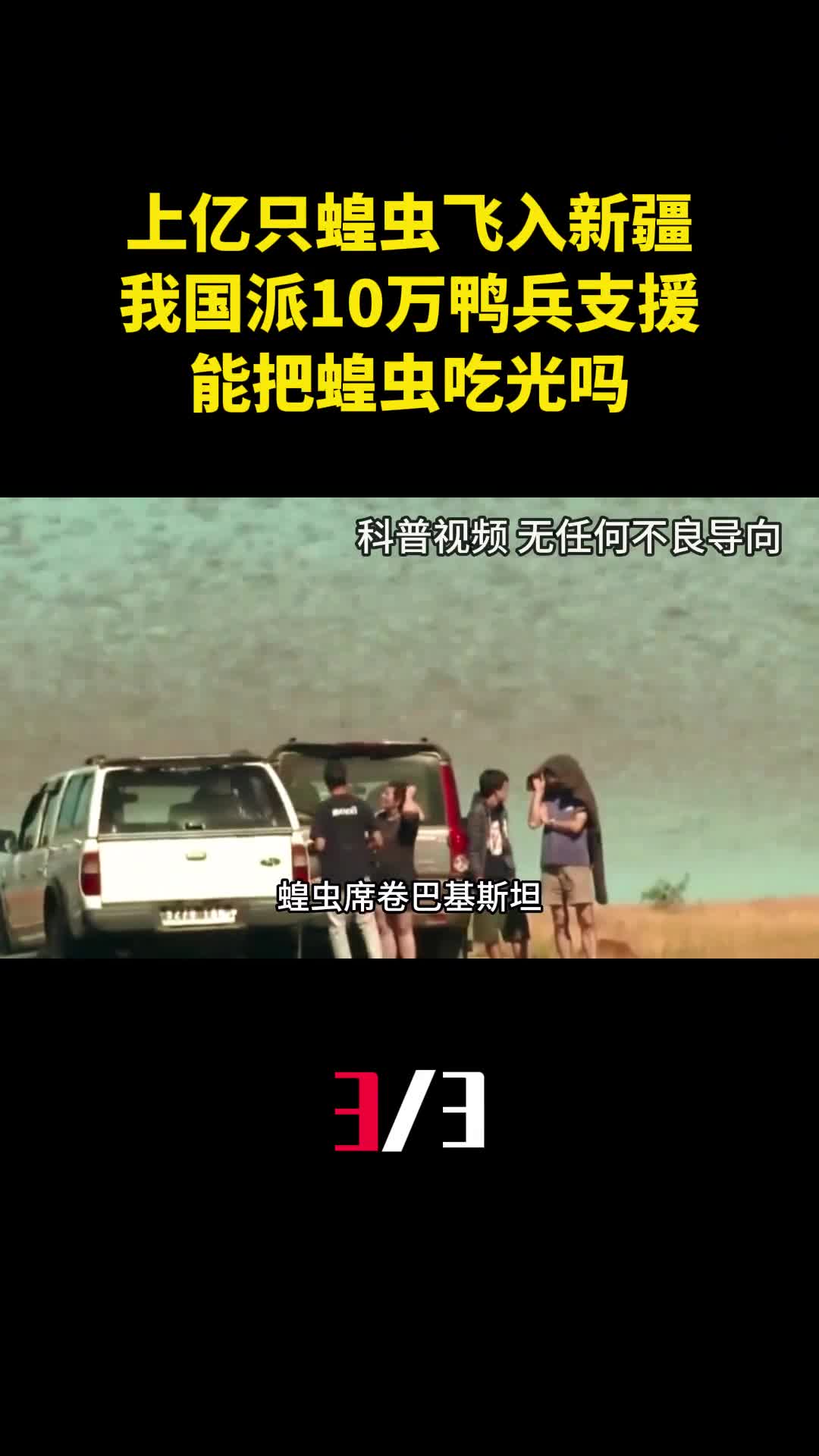 上亿只蝗虫飞入新疆我国派出10万鸭兵支援能把蝗虫吃光吗3