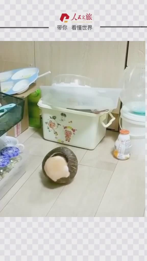 没忍住笑出了声底盘太重