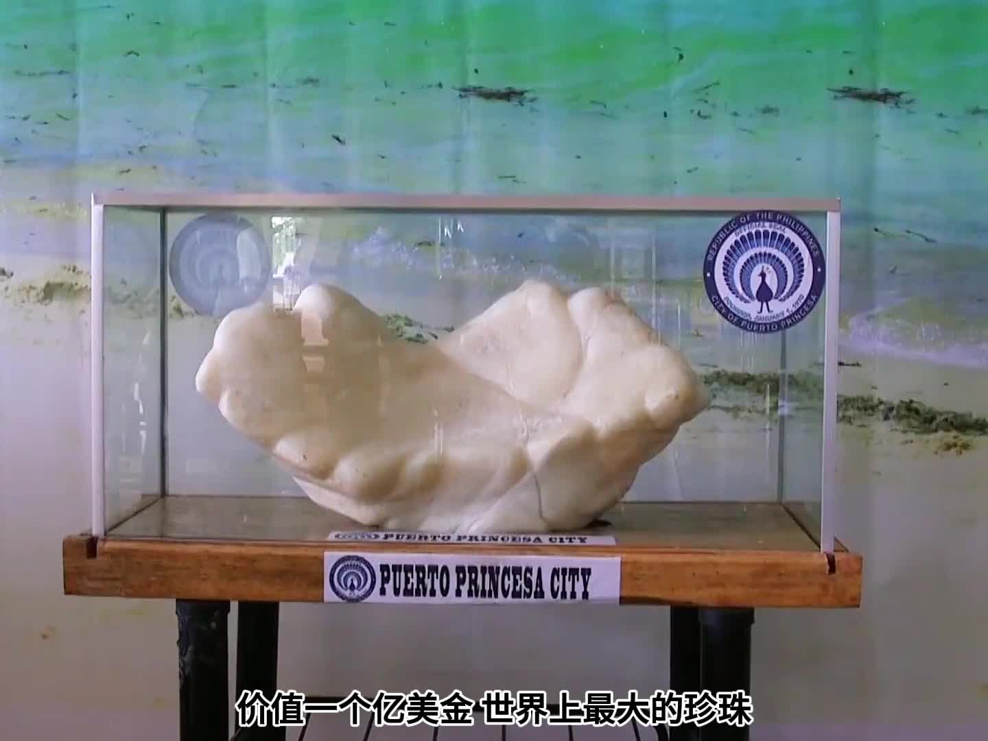 世界上最大的珍珠居然是这样的