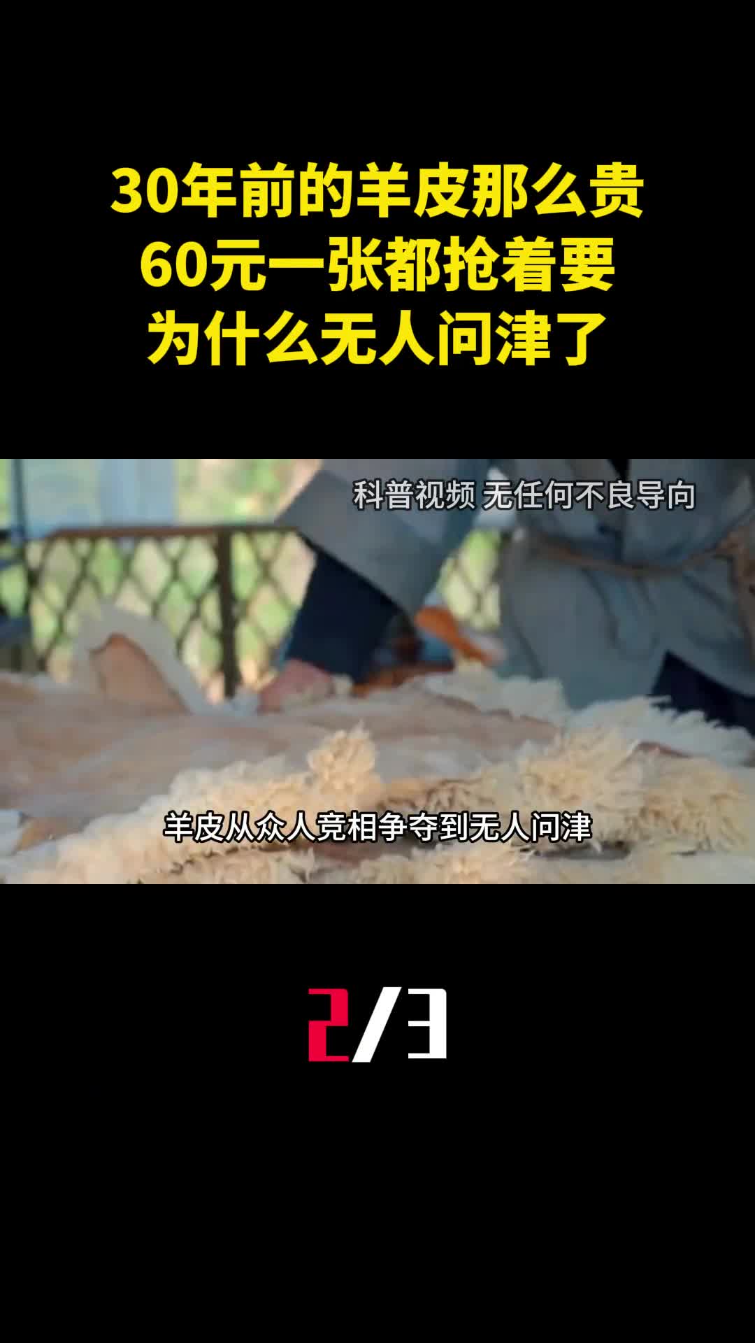 30年前的羊皮那么贵60元一张都抢着要为什么现在无人问津了2