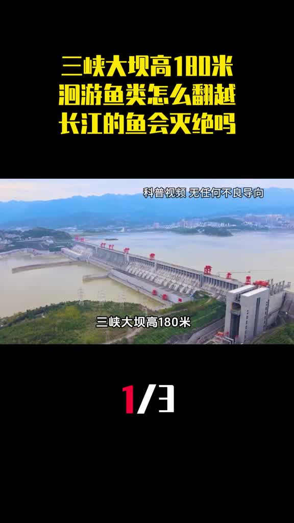 三峡大坝高180米洄游鱼类怎么翻越长江的鱼会灭绝吗1