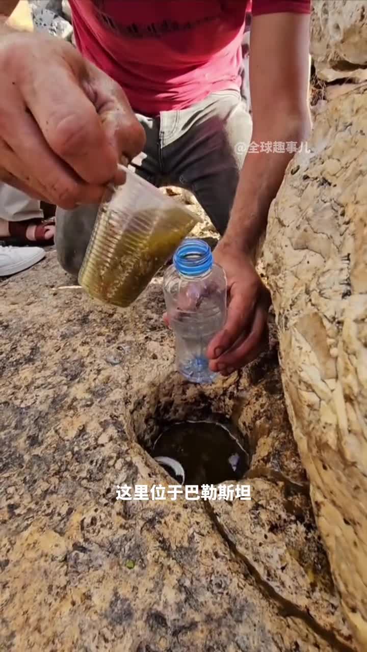 用石头压出橄榄油巴勒斯坦传统橄榄油的压榨过程