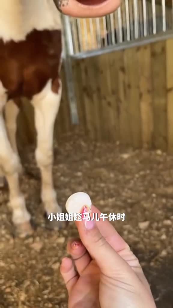 睡觉竟然站着还不闭眼