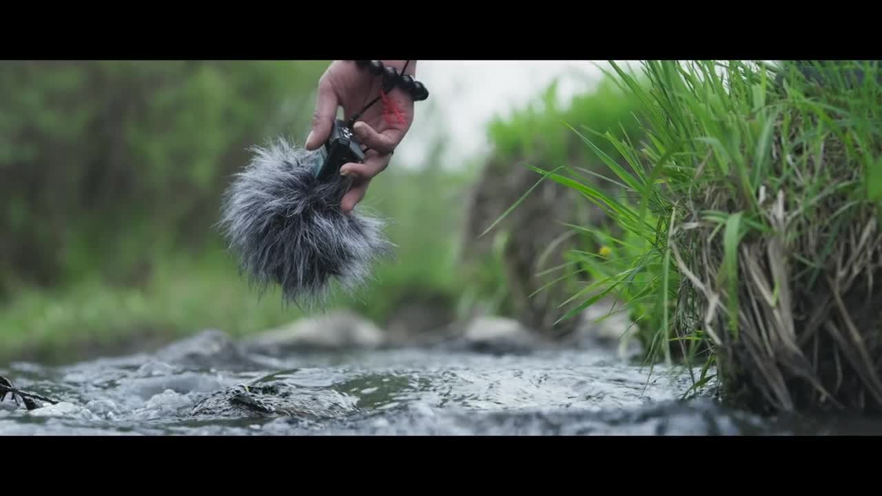 你有多久没有聆听过自然的声音了