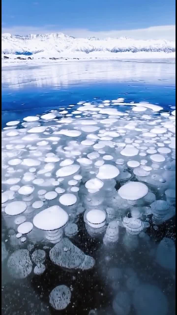 新疆赛里木湖现冰气泡景观形成这种美艳的气泡需要多种因素是一种十分罕见的自然