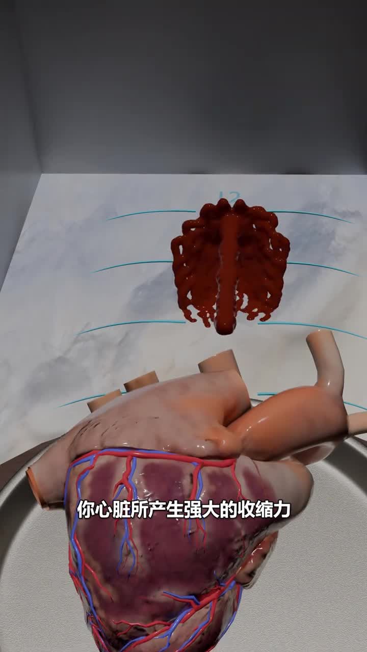 你的心脏到底有多强壮