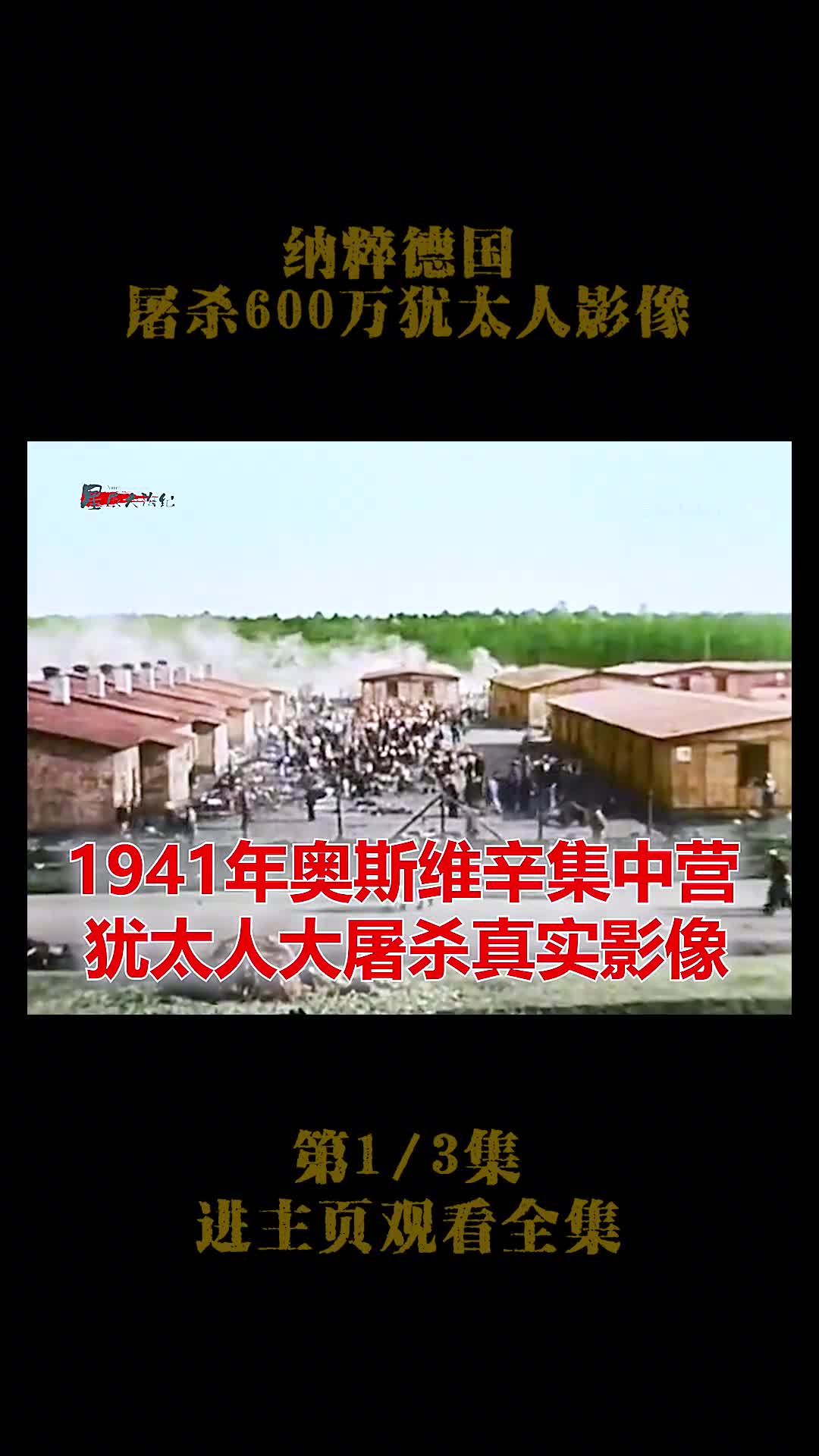 1941年纳粹德国屠杀犹太人影像1941年纳粹德国屠杀犹太人影像仅4年欧洲三分之二的犹太人被屠杀