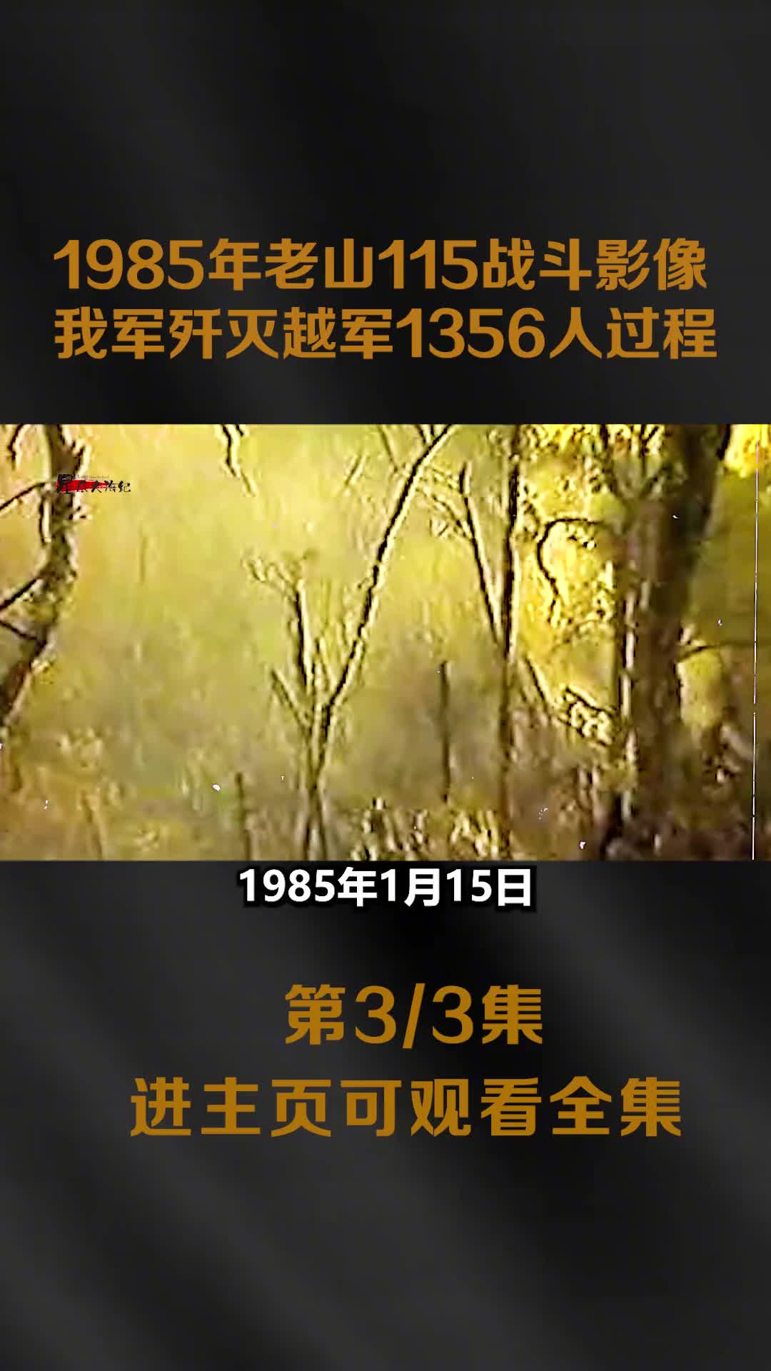 1985年老山115战斗真实影像著名老山的春节停火骗局我军将计就计歼灭越军1356人