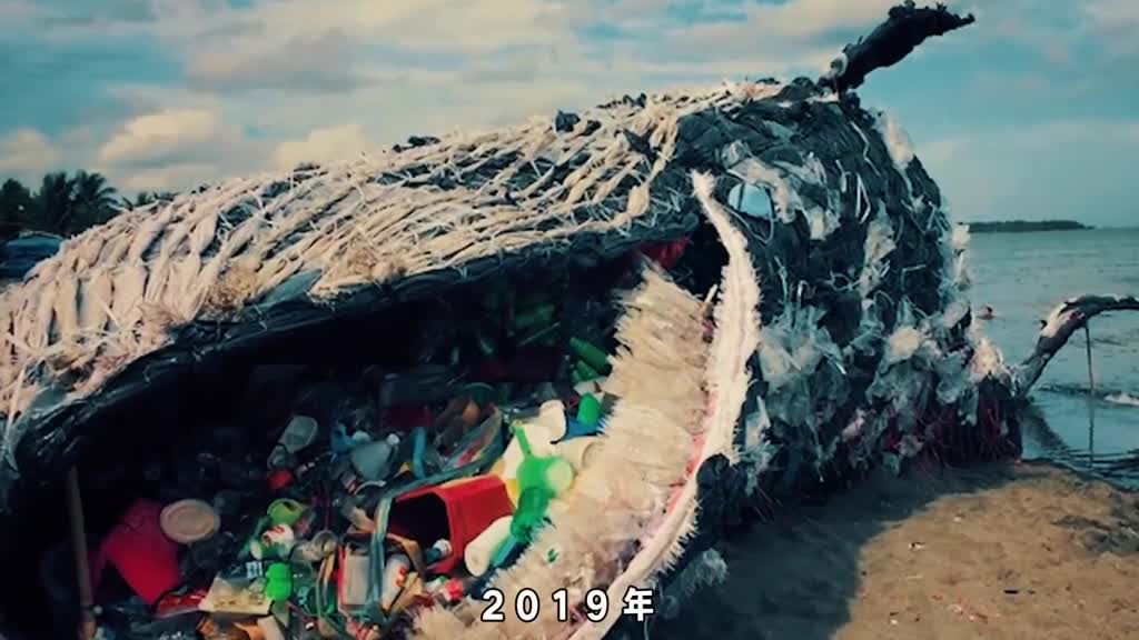 为什么微塑料正摧毁整个海洋