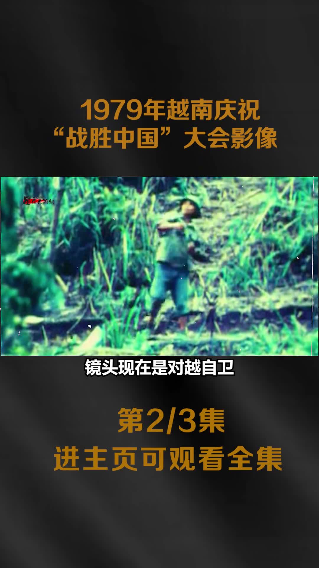 1979我军从越南撤回国后越南自欺欺人庆祝战胜中国大会影像