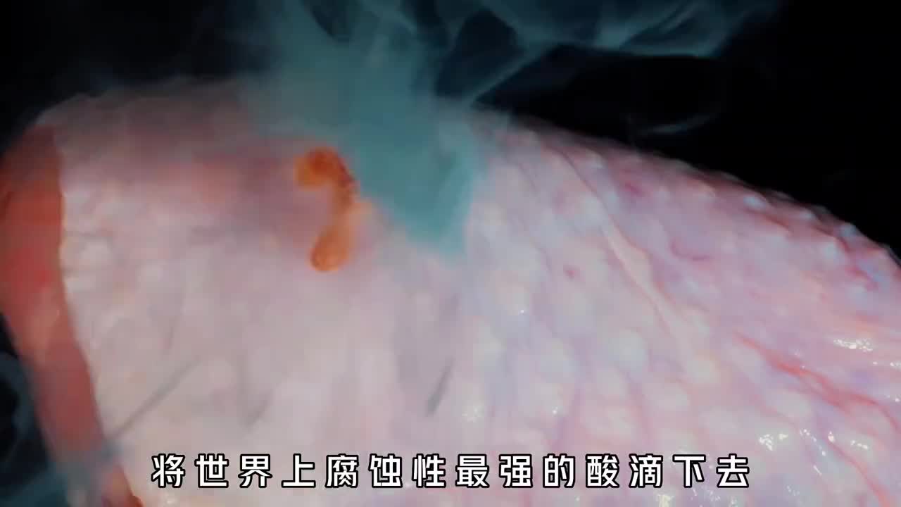 世界最强酸可以腐蚀一切吗将鸡腿放进去瞬间只剩骨头