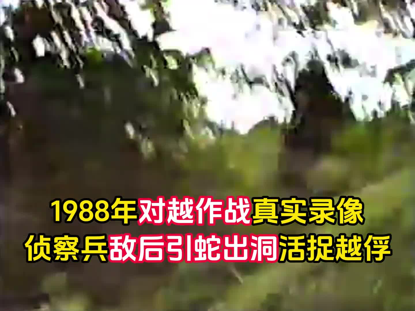 1988年对越作战真实录像侦察兵敌后引蛇出洞机智活捉敌军俘虏