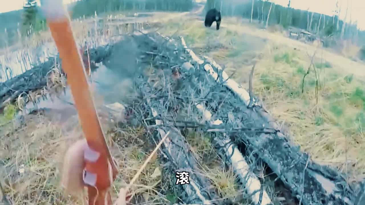 放虎归山它会立刻离开现场放熊归山它则会立刻掉头攻击人类