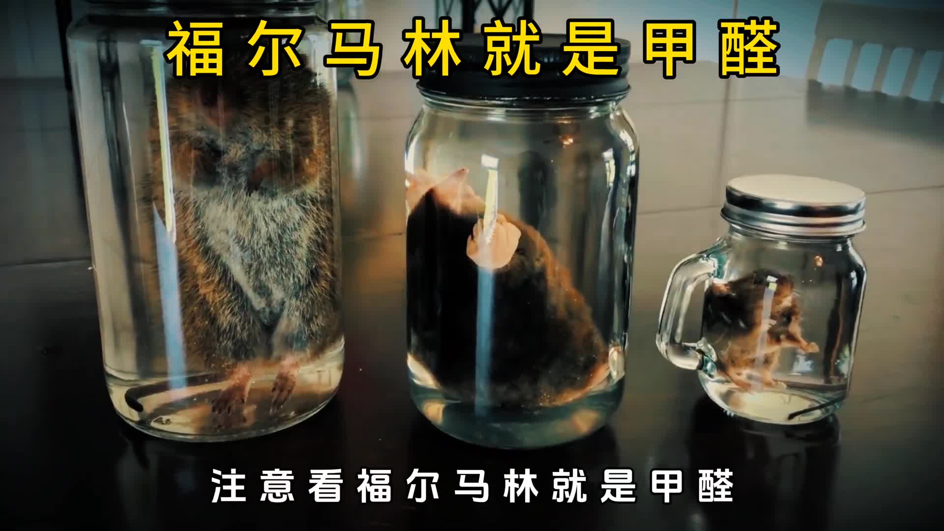 福尔马林就是甲醛那它是如何让尸体不腐烂的