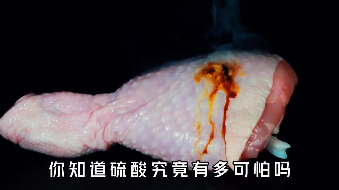 硫酸有多可怕一个鸡腿放进去出来只剩骨头