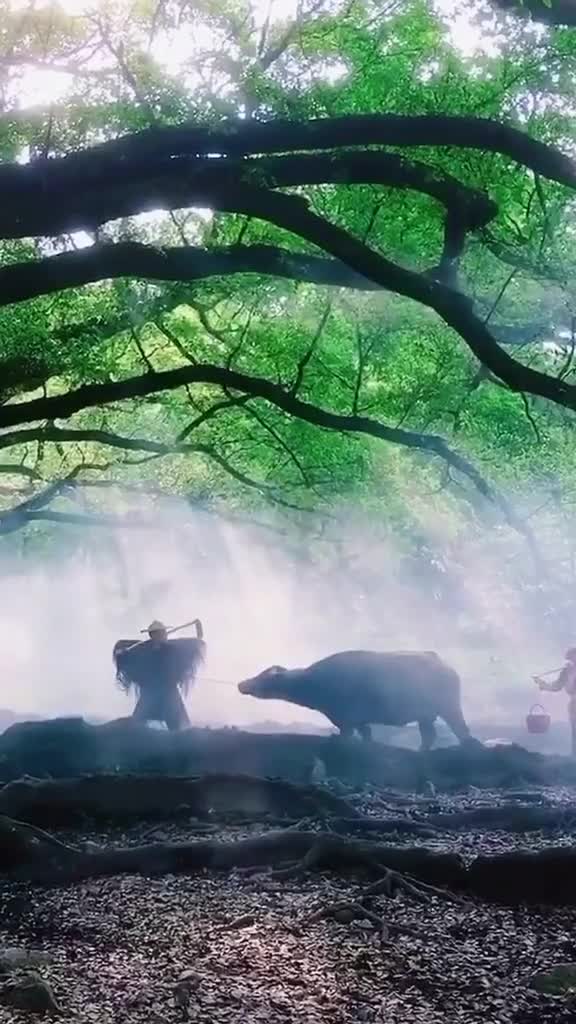 三千年读史不外功名利禄九万里悟道终归诗酒田园知道这里牛人多评论区来命图作诗吧