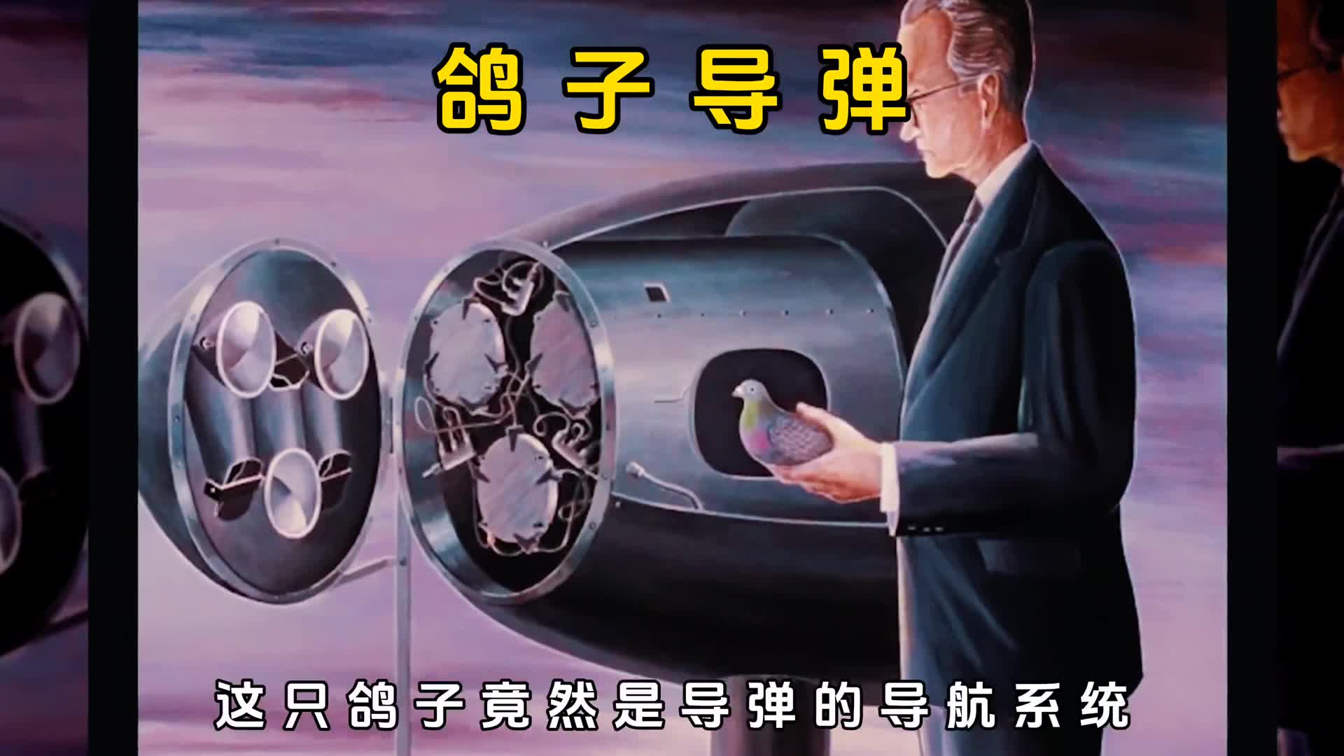 用鸽子做炸弹的导航精准率仅此于日本的自杀式炸弹