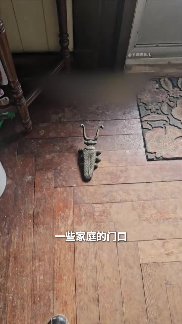 为什么要把昆虫放家门口这款神秘工具其实是脱鞋器用过的人都被拿捏了