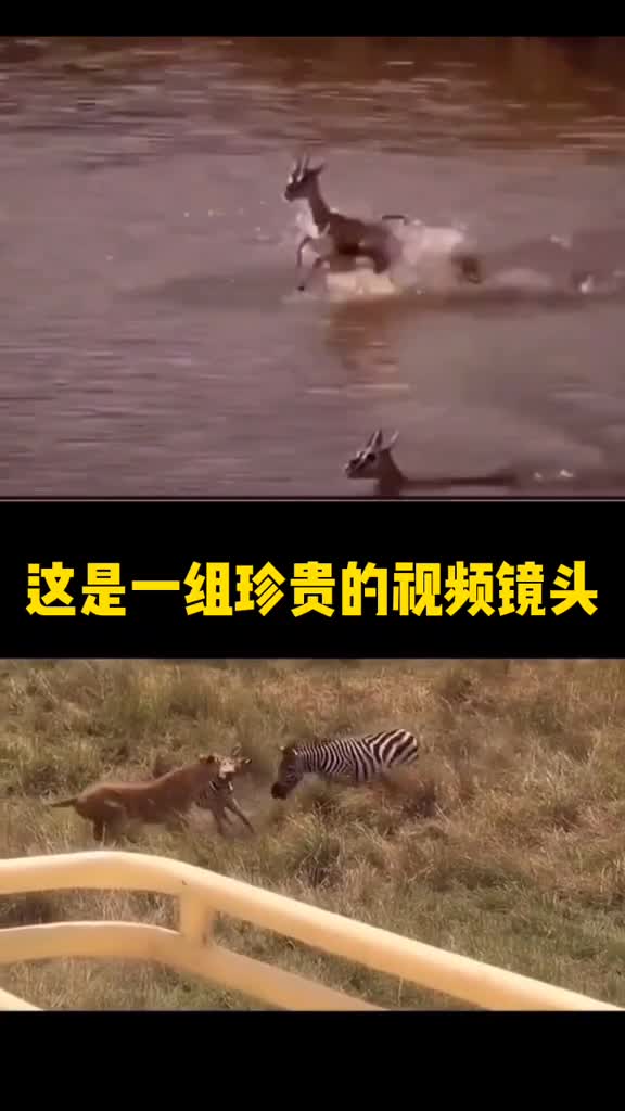 母亲节妈妈就是那个为了儿女永远奉献的人就是即使自己深陷危险也要奋力保护我们的人感谢妈妈