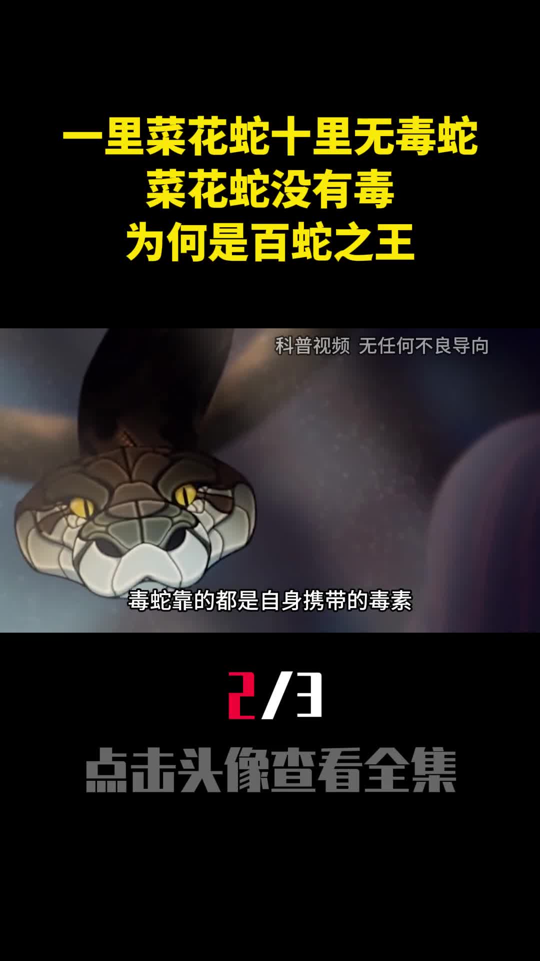 一里菜花蛇十里无毒蛇菜花蛇没有毒为何是百蛇之王2