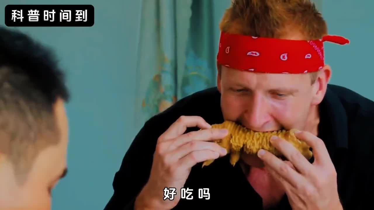 一双鸡脚卖1万5东涛鸡的一生究竟有多悲惨